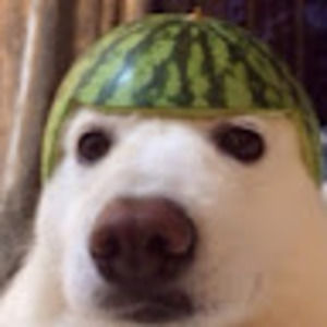 Meet your Posher, Doggomelon